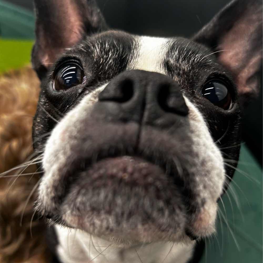 Meet your Posher, Sara